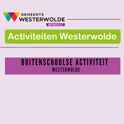 Activiteiten format website 